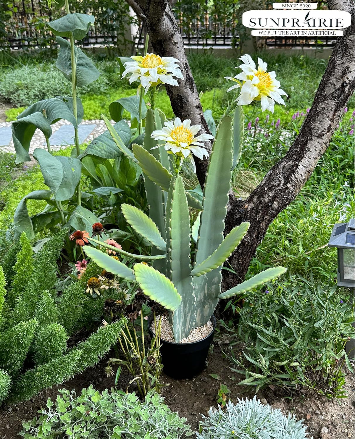 33 Inch Large Artificial Cactus with Lilly White Flowers in Pot with Natural Gravel. Satin Finish