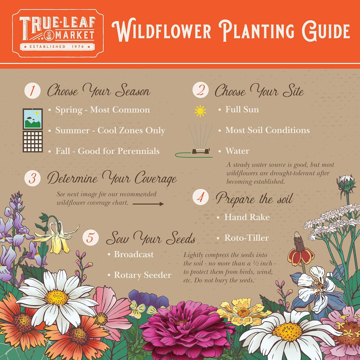 Pacific Northwest Wildflower Seeds for Planting - 4 Oz ~160,000+ Non-GMO Seeds - 25 Varieties