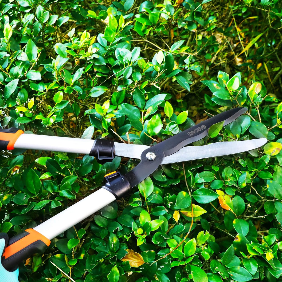GARCARE 4 IN 1 Garden Shears Pruning Set with Bypass Pruning Shears Compound Lopper and Hedge