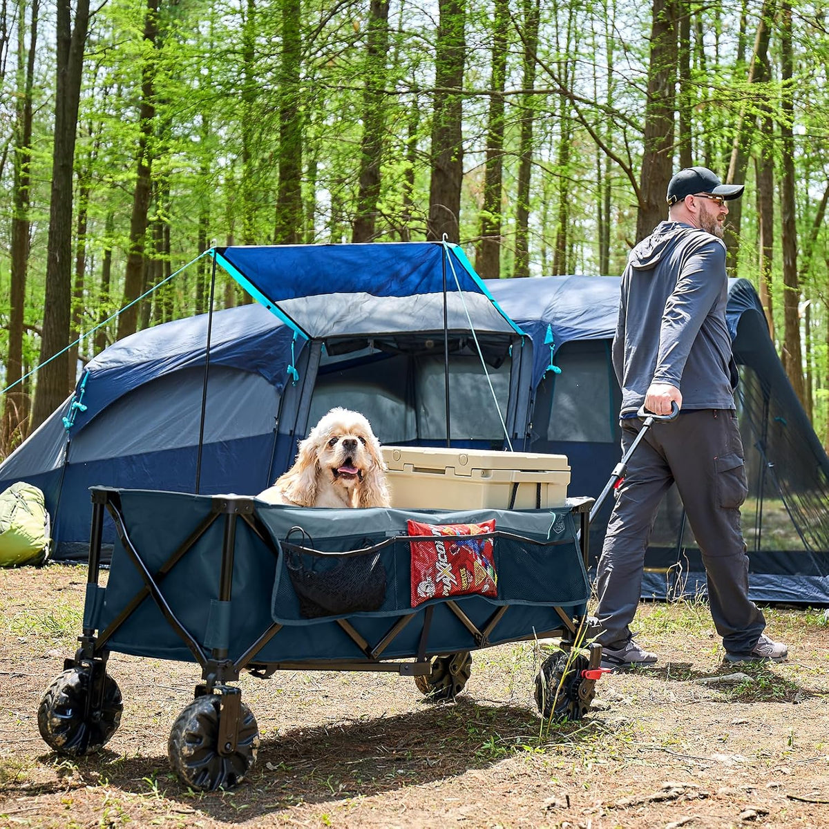 Timber Ridge 51.2" Extended Collapsible Wagon - Heavy-Duty Utility Cart with All-Terrain Wheels