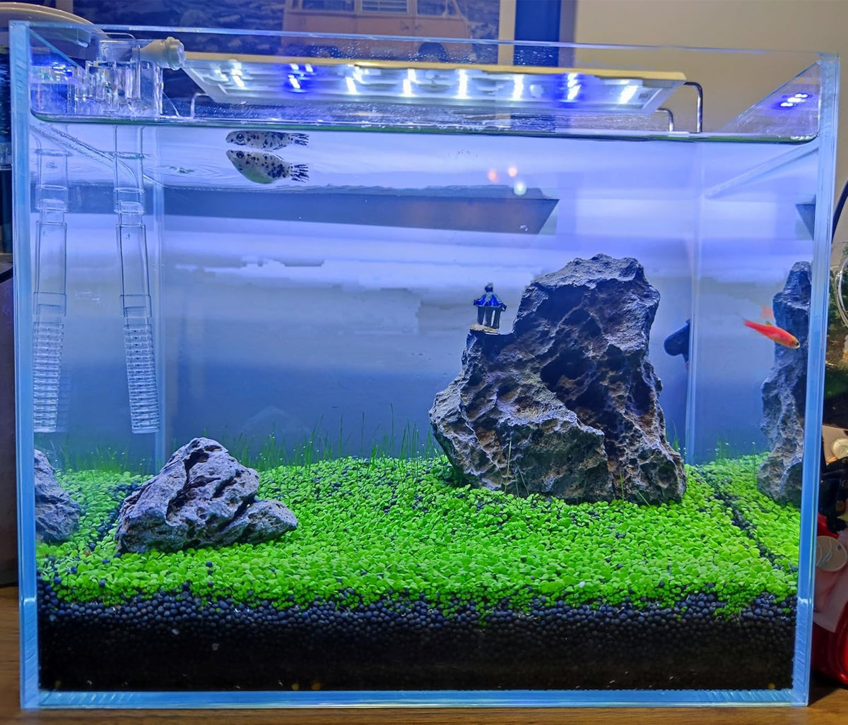 4 Bags Aquarium Plant S.e.e.ds, not Artificial Plastic Plant, Fish Tank Live Grass for All