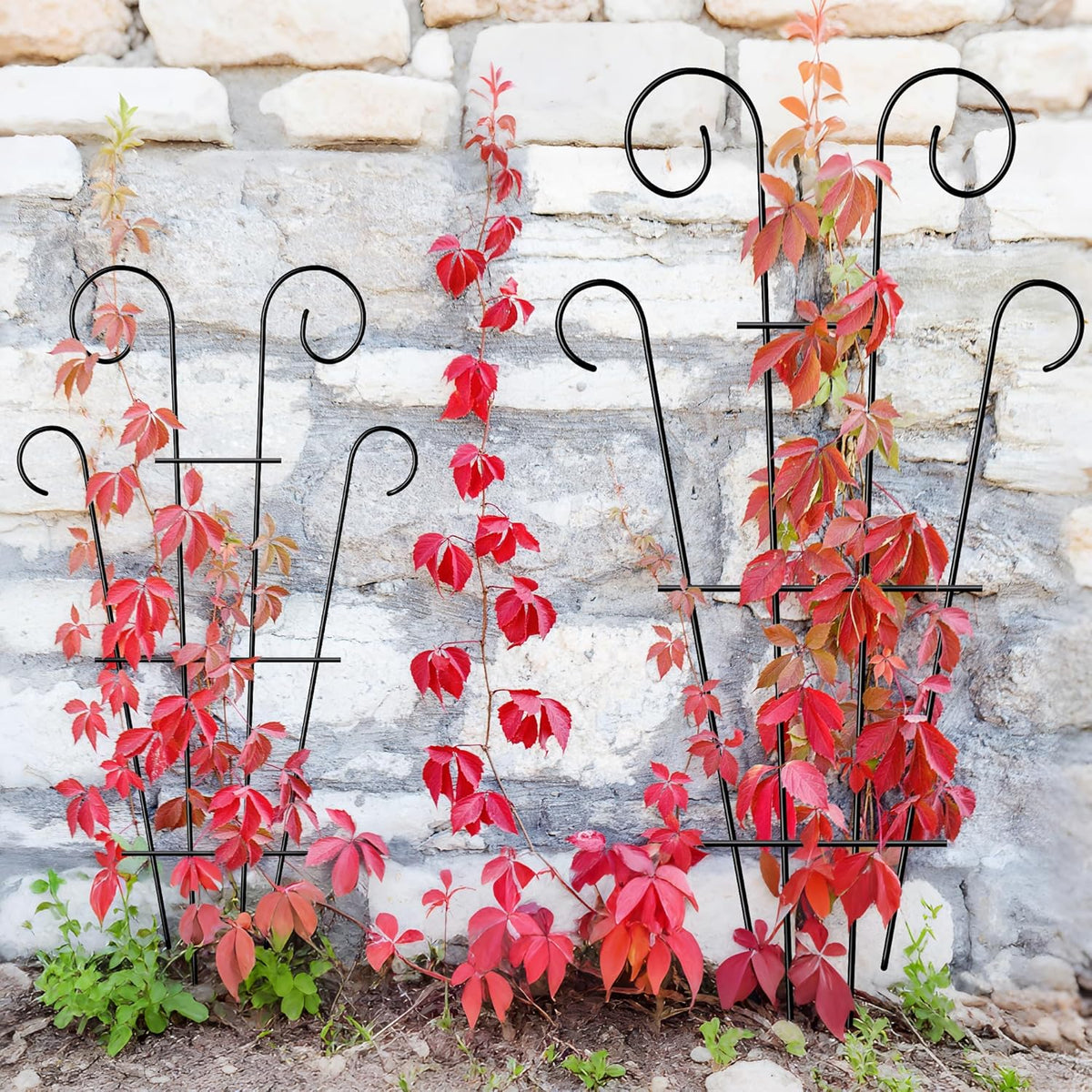 4 Pack 43'' Indoor Plant Trellis for Potted Plants Climbing, Outdoor Metal Garden Trellis