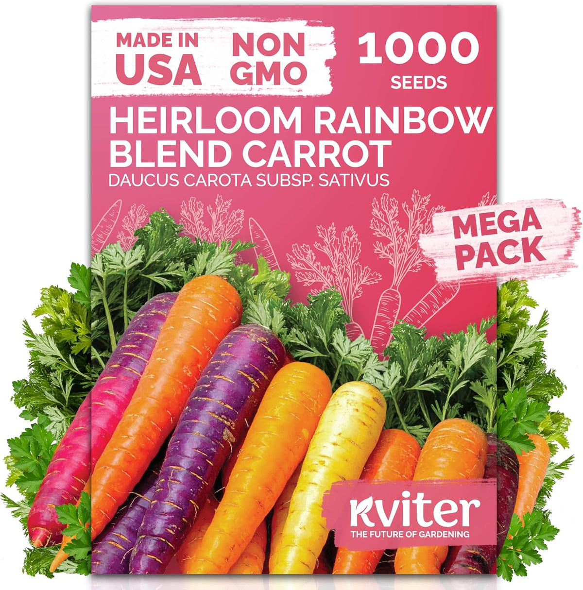 KVITER 1,000 Rainbow Carrot Seeds (Daucus Carota) - Baby Carrots Mix, Sweet & Tender Taste