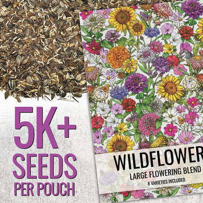 Seed Needs Garden Flower Seeds Large Blooms Mix Hummingbird and Butterfly | 2 Packs (1 Ounce Each)