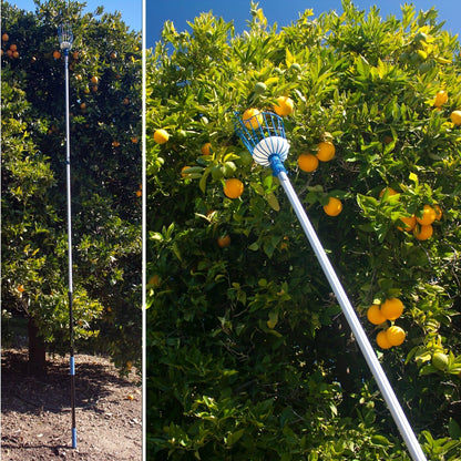 EVERSPROUT 4.5-to-12ft Durable Fruit Picker with 20+ Foot Reach – Telescoping Fruit Picker Pole