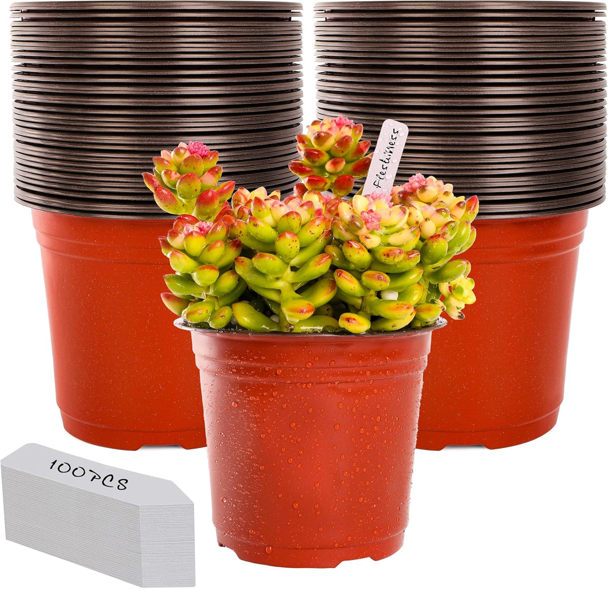 TDHDIKE 6 Inch Plastic Plant Nursery Pots (100pcs Pots and 100pcs Plant Labels) Seedling Flower