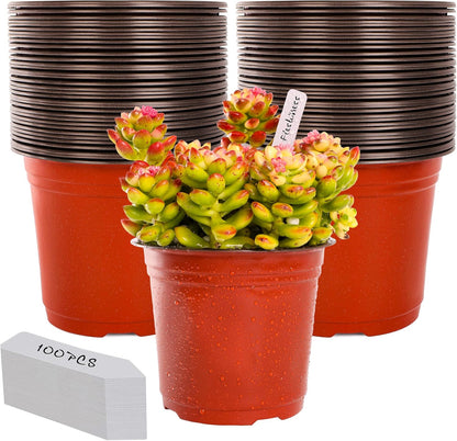 TDHDIKE 6 Inch Plastic Plant Nursery Pots (100pcs Pots and 100pcs Plant Labels) Seedling Flower