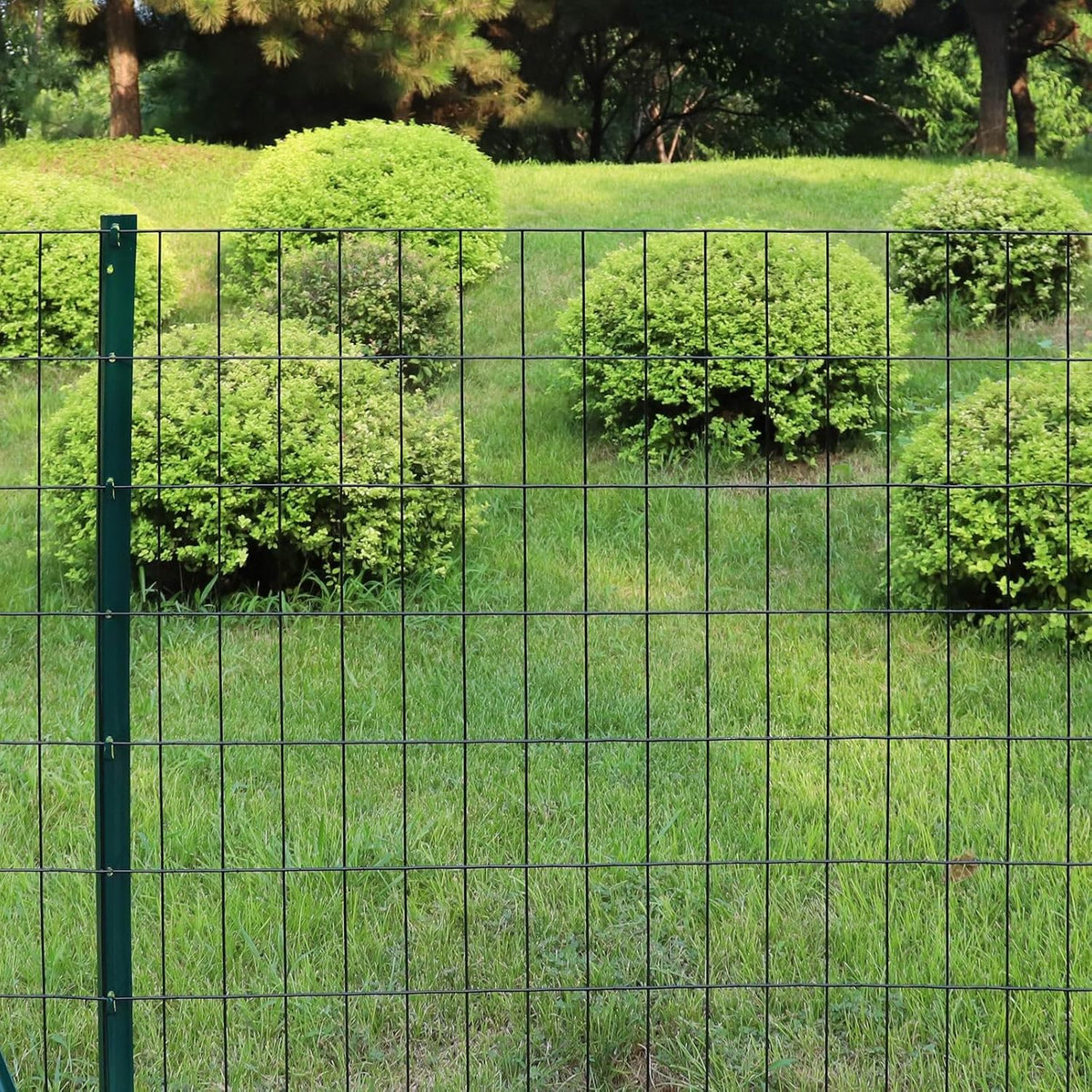 Black PVC Coated Welded Wire Fence 36 Inch x 50 Foot, 2 Inch x 4 Inch 14GA, Garden Border Fencing