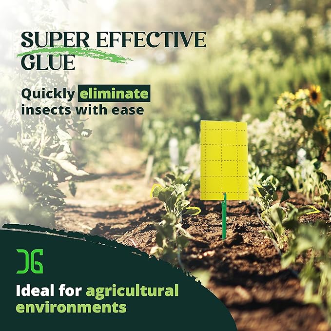 Catchmaster GRO Yellow Regular Double Sided Sticky Traps 36PK, Adhesive Bug & Fruit Fly Trap, Pest
