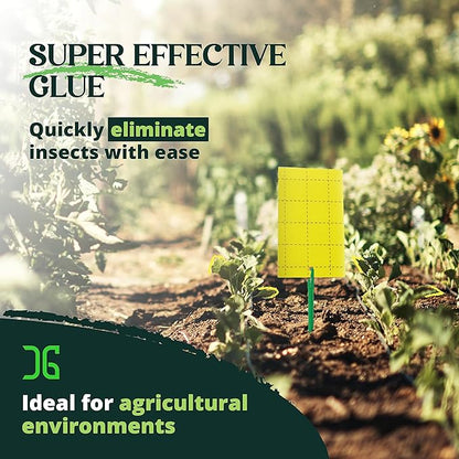 Catchmaster GRO Yellow Regular Double Sided Sticky Traps 36PK, Adhesive Bug & Fruit Fly Trap, Pest