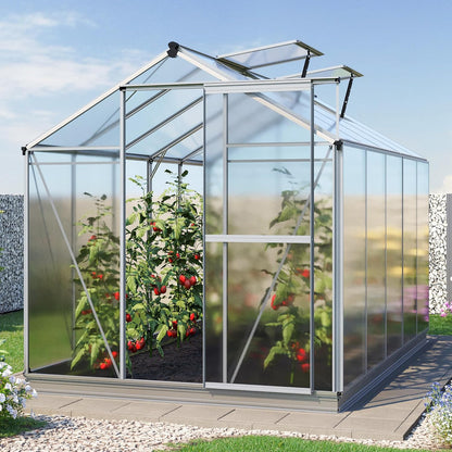 Greenhouse Jasmin 5 Aluminum Frame - 6.3 x 10.4 ft Approx. 6 mm Polycarbonate Panels - Bonus Base