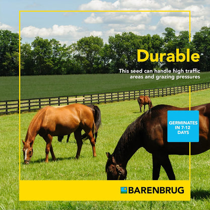 Pasture Seed, 25 lb 23094