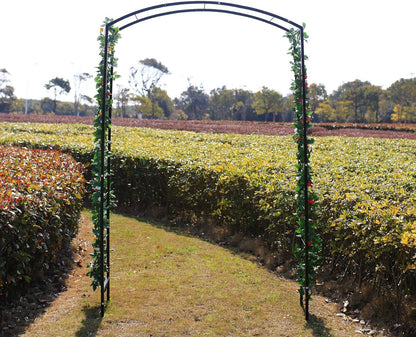 Steel Garden Arch, 7'2" High x 4'7" Wide, Garden Arbor for Various Climbing Plant, Outdoor Garden