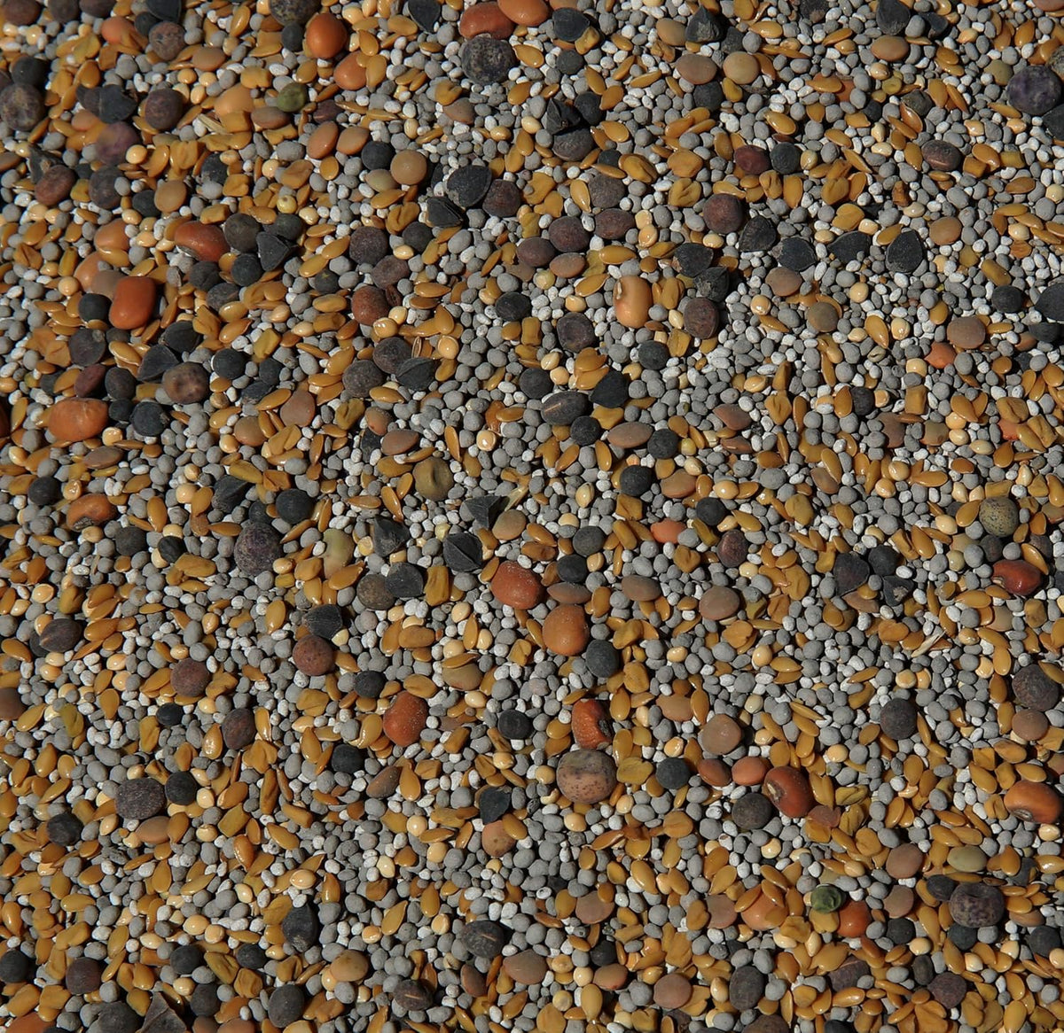 No-Till Cover Crop 13-Seed Mix (½-lb): [50% Clovers Plus Fenugreek, Vetch, Flax, Cowpeas