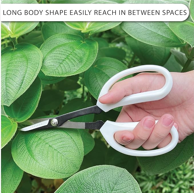 Precision Gardening Scissors Plant Trimming Pruning Shears Garden Pruners for Orchid Bonsai