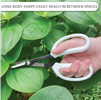Precision Gardening Scissors Plant Trimming Pruning Shears Garden Pruners for Orchid Bonsai