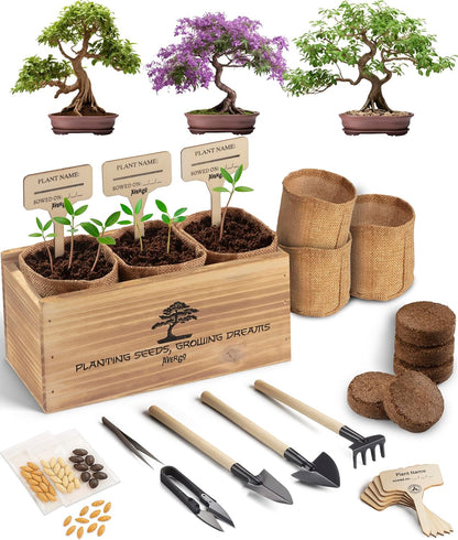 Avergo Bonsai Tree Kit – 3X Unique Japanese Bonzai Trees | Complete Indoor Starter Kit for Growing