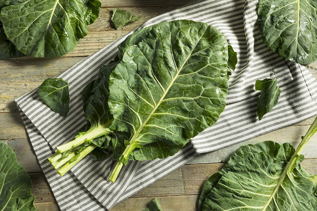 Greens Seeds Collection, 2500+ Seeds, 9 Heirloom Varieties, Arugula, Beet, Upland Cress, Vates