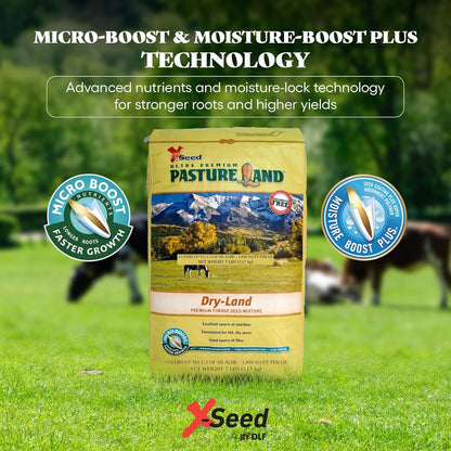 X-Seed Pasture Land Dry-Land Forage Seed Mixture with Micro-Boost – Tall Fescue Orchard Grass