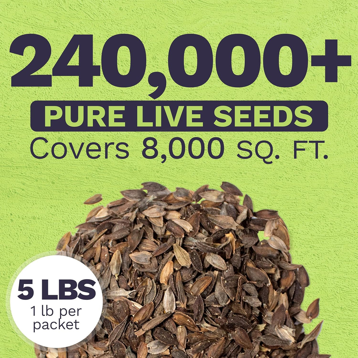 Bulk Zinnia Seeds - California Giants Mix - 5 Pounds - Over 240,000 Flower Seeds - Mixed Colors and