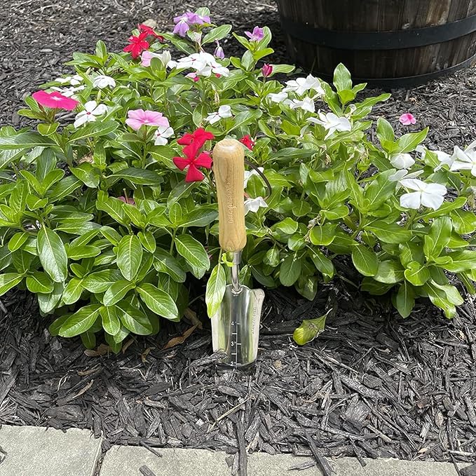 Garden Guru Eco Transplanter Trowel Shovel- 100% Recycled Stainless Steel - Rust Resistant - FSC