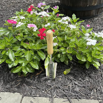 Garden Guru Eco Transplanter Trowel Shovel- 100% Recycled Stainless Steel - Rust Resistant - FSC