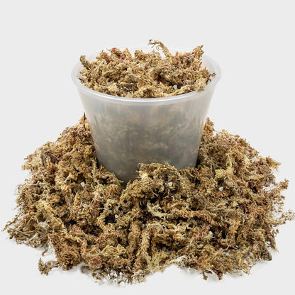 Gardenera Sphagnum Moss Potting Mix for Carnivorous Plants, Moss and Perlite Blend for Potting