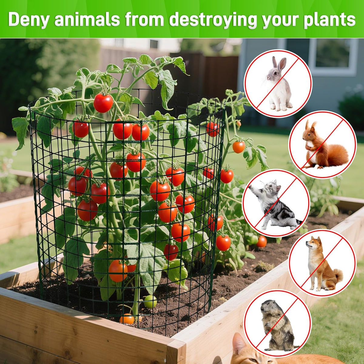 8 Pack Plant Protectors from Animals, 13.8"x 12" Wire Plant Protector, Wire Cages for Plants with