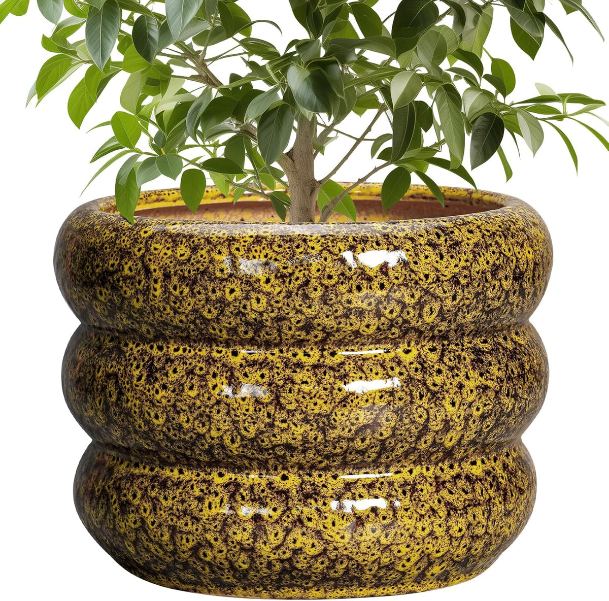 SQOWL Ceramic Flower Pots - 10 Inch Plant Pot Indoor with Drainage Hole, Round Bubble Planter for
