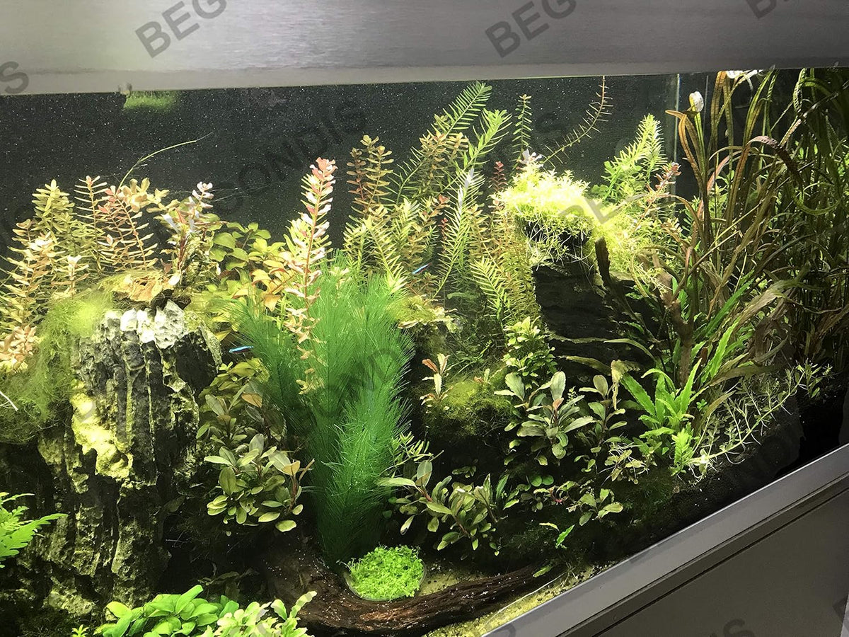 BEGONDIS Aquarium Decorations 3Pcs Fish Tank Artificial Green Water Plants Made of Silk Fabrics