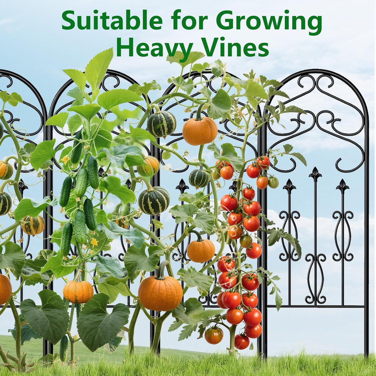 AMAGABELI Garden & Home 4 Pack 60" x 18" Metal Garden Trellis for Climbing Plants Outdoor Climbing