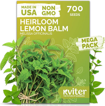 KVITER 700 Lemon Balm Seeds for Planting (Melissa Officinalis) – Heirloom & Organic Medicinal Herb