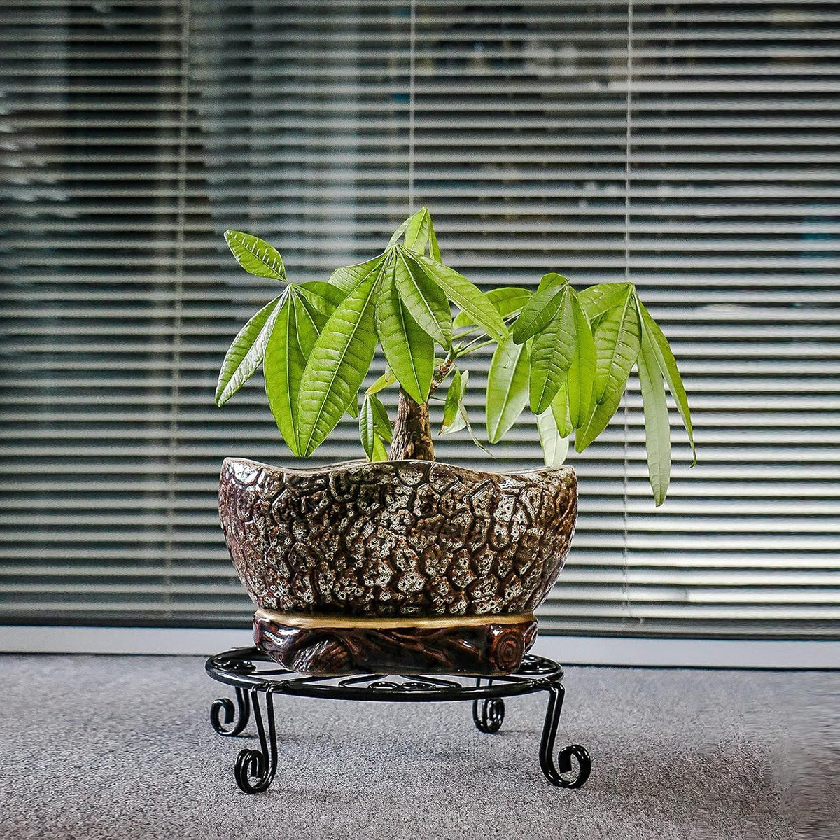 2 pack 10" 12" Rustproof Black Metal Plant Stands Heavy Duty Plants Holder Outdoor Indoor, Round