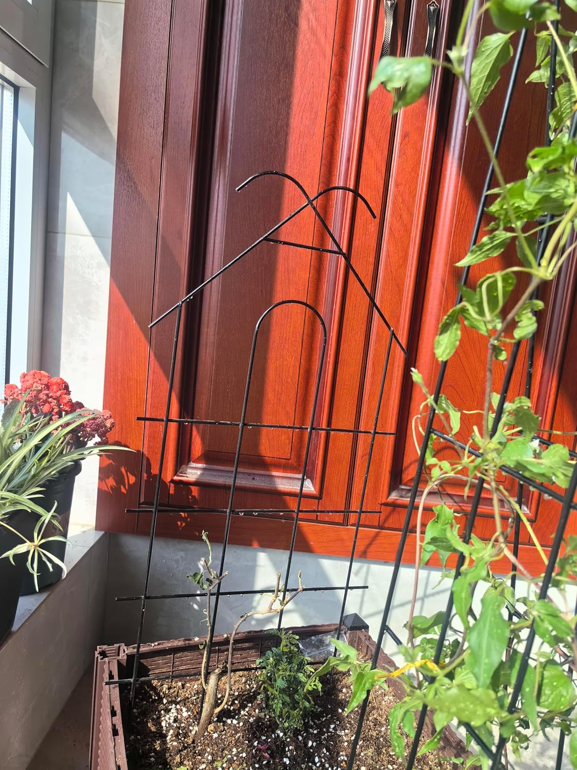 ARIFARO 24'' Metal Garden Trellis Indoor/Outdoor Sturdy Plant Trellis for Potted Plants,House