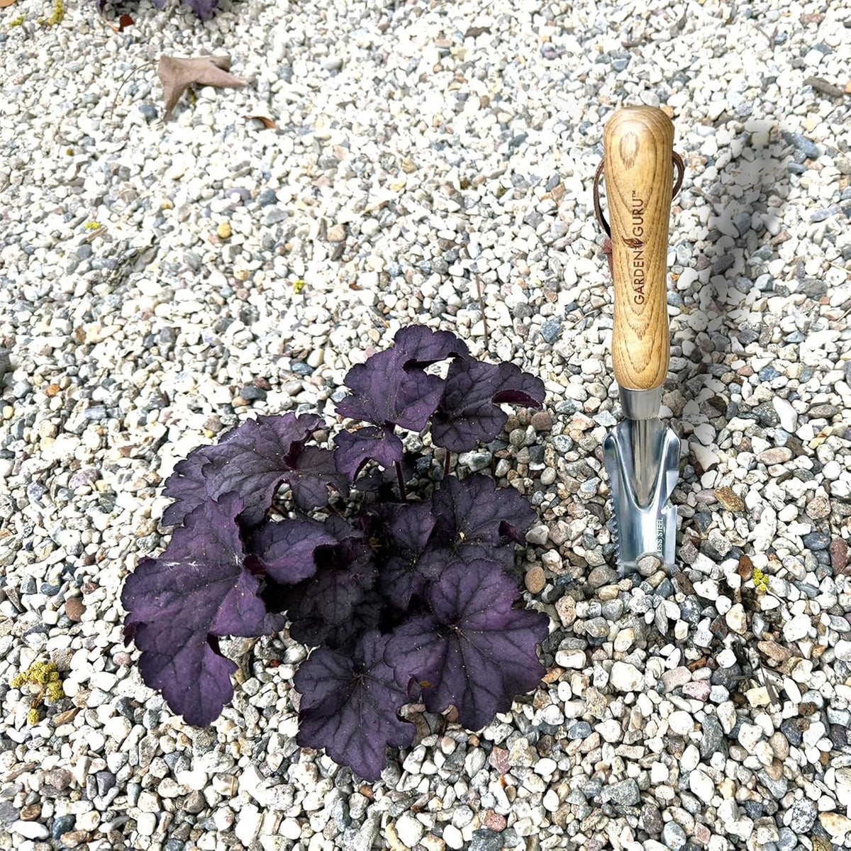 Garden Guru Hand Weeder Trowel with Ergonomic Handle – Stainless Steel Weeding & Digging Knife