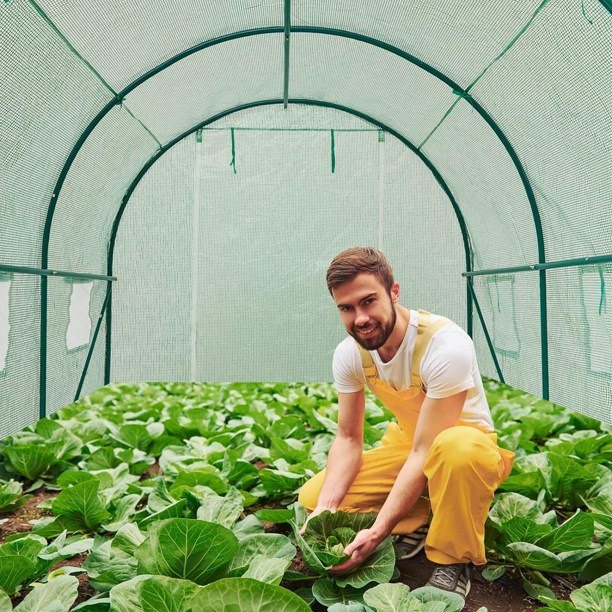 10×7×7 FT Greenhouses for Outdoors Heavy Duty, Large Walk in Green Houses for Outside with 6