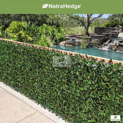 NatraHedge Artificial English Laurel Leaf Expandable Lattice Privacy Fence Screen