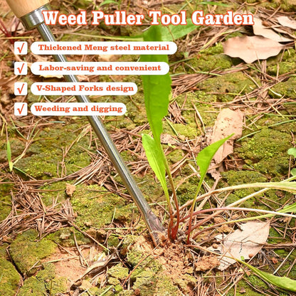 Wooden Handle Dandelion Weeder Tool - Polished Stainless Steel Dual - Forked Head Dandelion Weeder