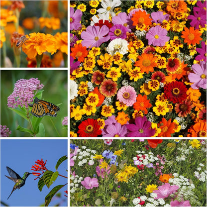 Pollinator Wildflower Seed Shaker Collection - ~300,000+ Wild Flower Seeds for Planting - Includes
