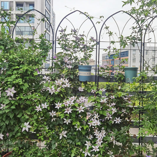 Metal Garden Trellis Rustproof Trellis for Climbing Plants Outdoor Flower Support (Black-4 Pack