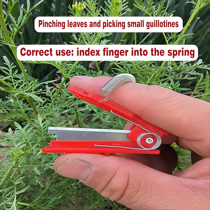 Gardener's Thumb Knife & Pruning Shears - Multi-Use Stainless Steel Tool for Leaf Trimming, Fruit