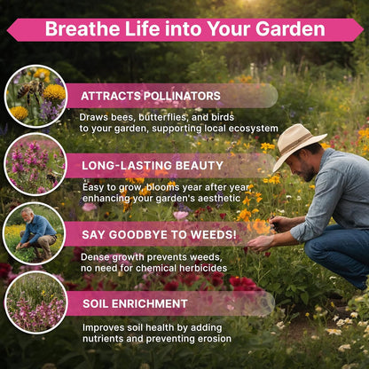 Organo Republic 19 Annual & Perennial Wildflower Seeds Mix for Indoor and Outdoors, Attract Bees &