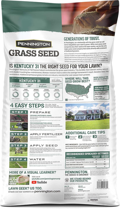 Pennington Kentucky 31 Tall Fescue Grass Seed 20 lb