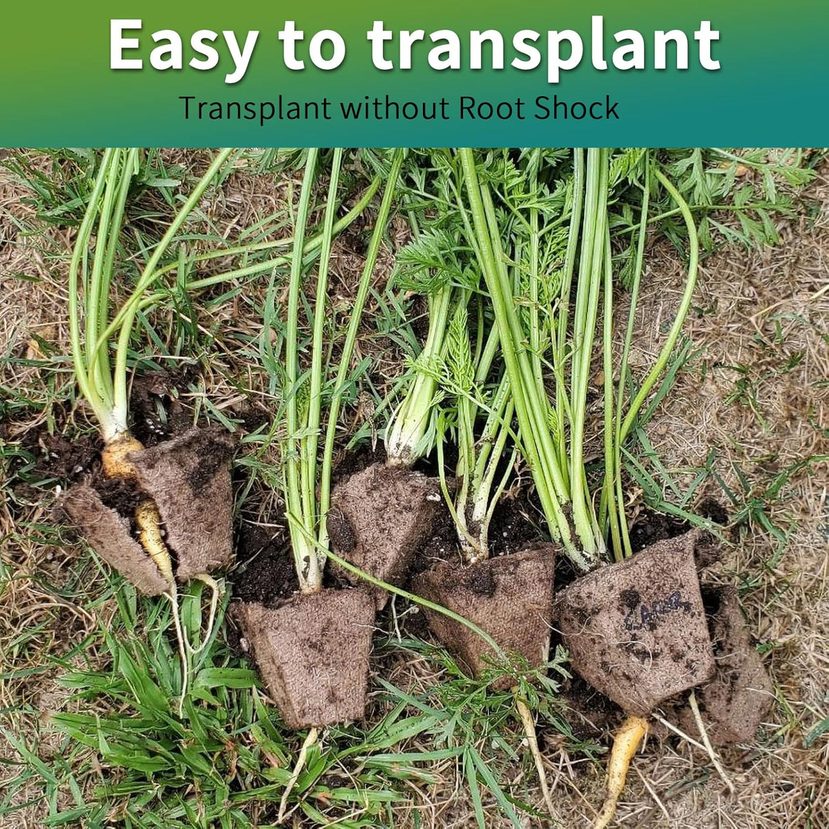 320Cells Seedling Start Trays,20 Pack Peat Pots Seedling Pots Biodegradable,Seedling Starter