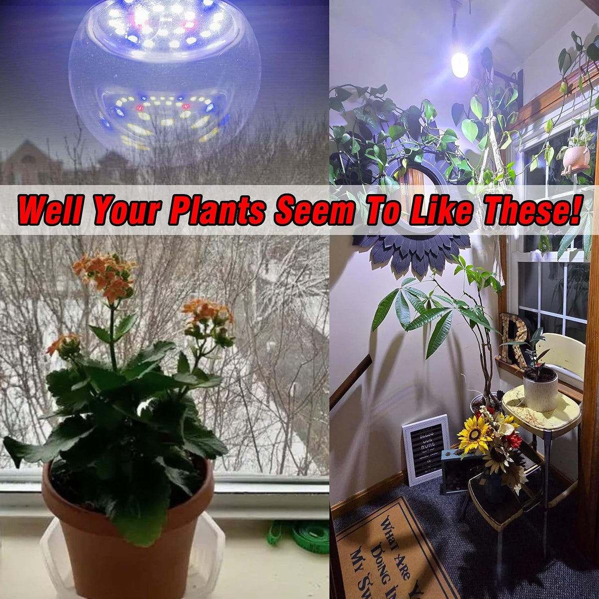 E12 Candelabra Small Base Grow Light Bulbs for Indoor Plants Full Spectrum 9W Grow Lamp 100W