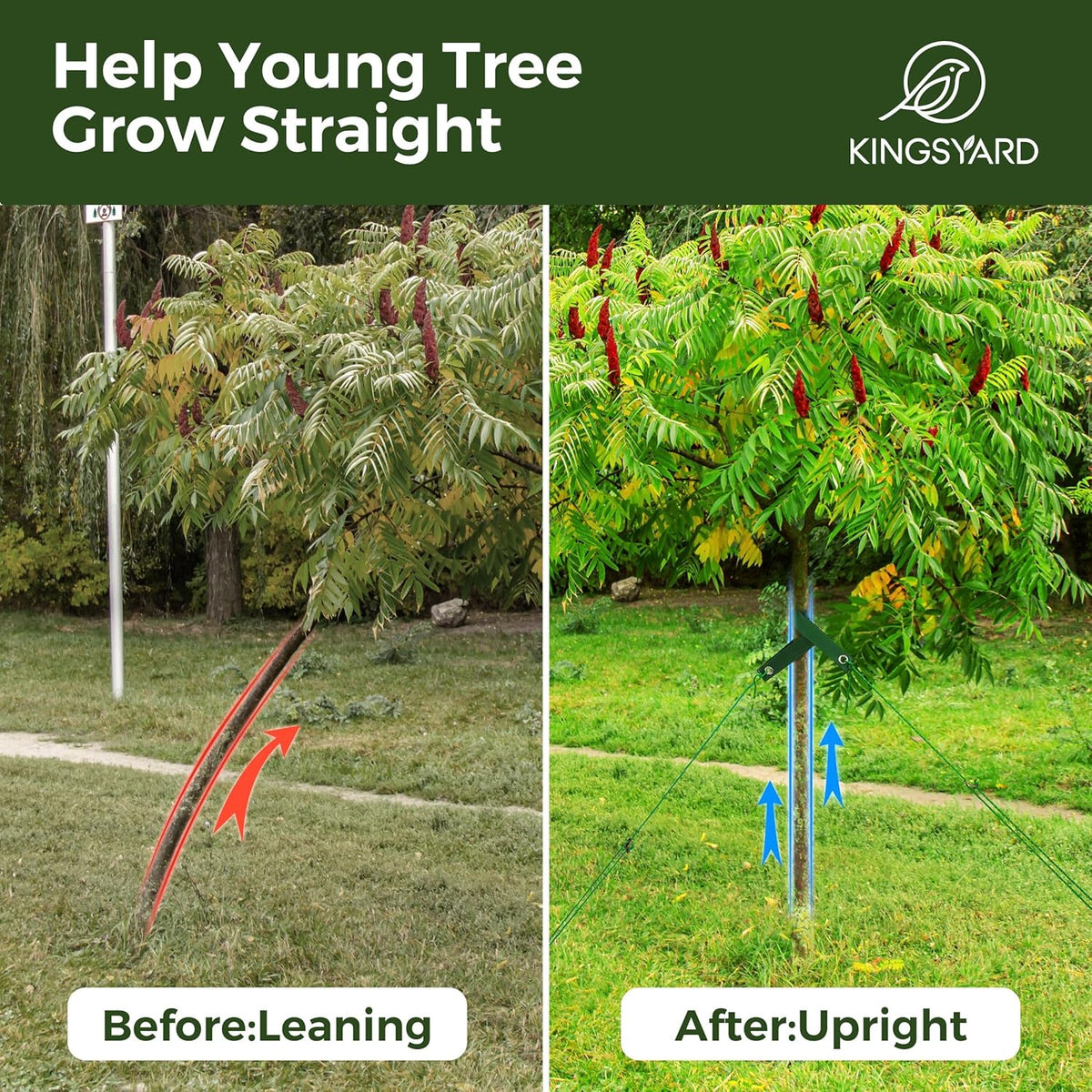 Kingsyard Tree Stakes and Supports, 16 Inch 3 Pcs Steel Heavy Duty Tree Stake Kit for Leaning Young