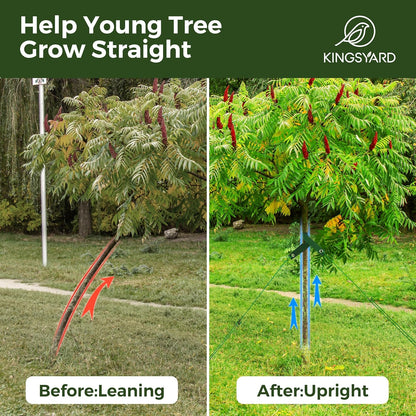 Kingsyard Tree Stakes and Supports, 16 Inch 3 Pcs Steel Heavy Duty Tree Stake Kit for Leaning Young