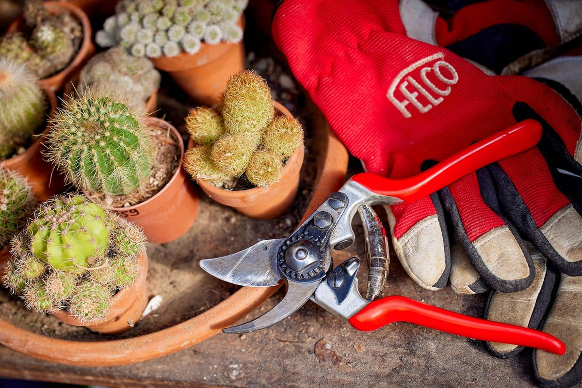 Felco F 14 Pruning Shears – 7.1" Garden Clippers for Small Hands with Bypass & Anvil Blades | Hand