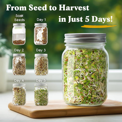 Seedboy Organic Non-GMO Sprouting Seeds, Fresh Salad Blend – USA Grown Microgreens Mix with