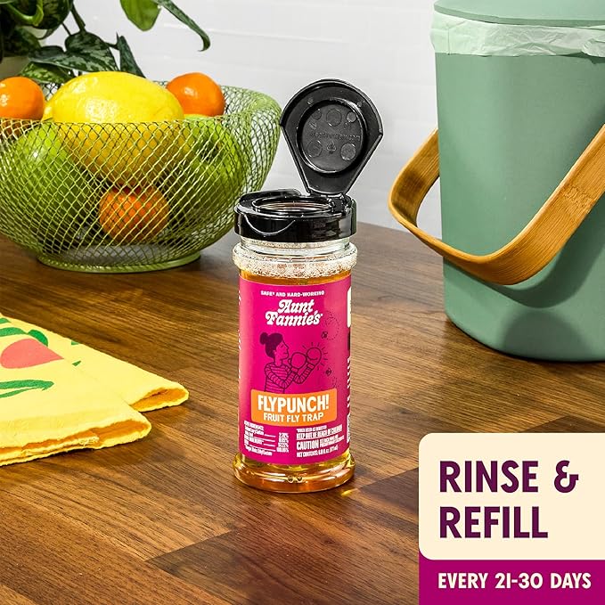 Aunt Fannie's FlyPunch Fruit Fly Trap Bundle for Indoor and Kitchen Use, Ready to Use, Made with